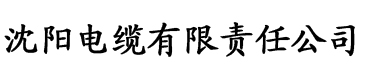 无毒AV电缆厂logo